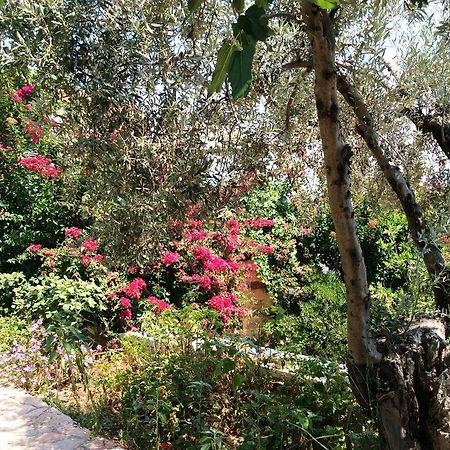 Angelica Villas Hotel Apartments Epidaurus Esterno foto