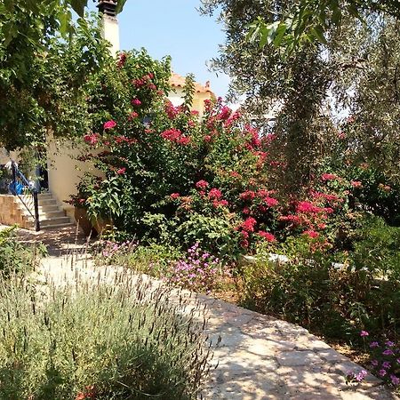 Angelica Villas Hotel Apartments Epidaurus Esterno foto