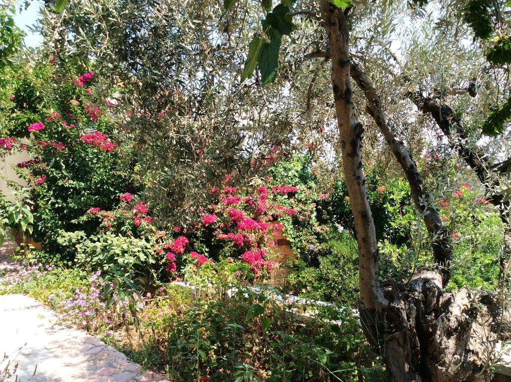 Angelica Villas Hotel Apartments Epidaurus Esterno foto