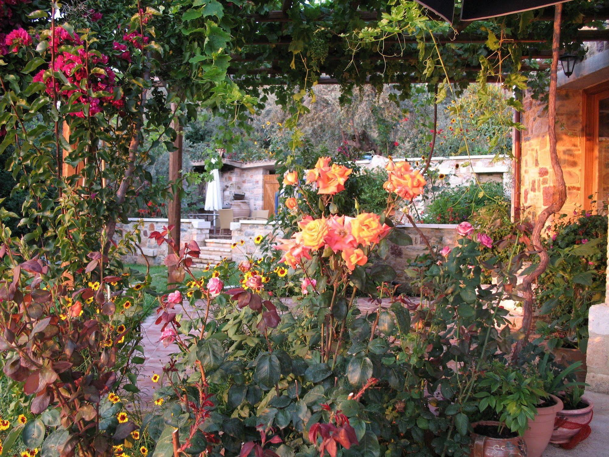 Angelica Villas Hotel Apartments Epidaurus Esterno foto